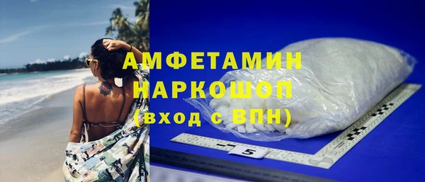 индика Богородицк