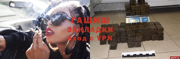 индика Богородицк