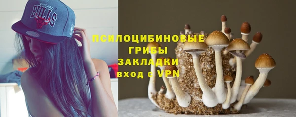 индика Богородицк