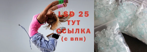 индика Богородицк