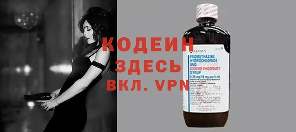 индика Богородицк