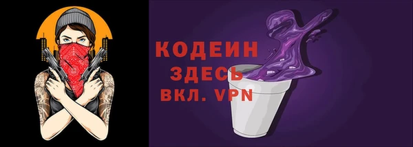 индика Богородицк