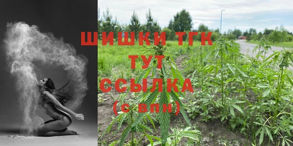 индика Богородицк