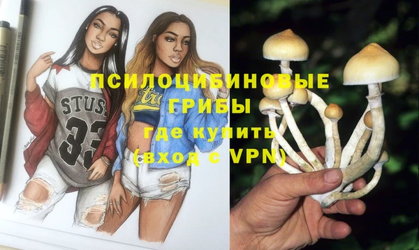 mdma Богданович