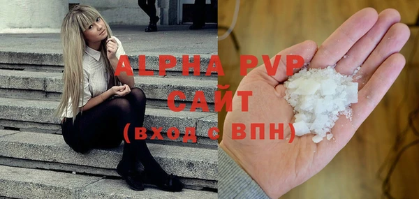 индика Богородицк
