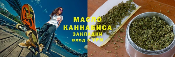 индика Богородицк