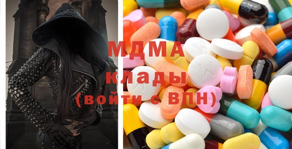 индика Богородицк