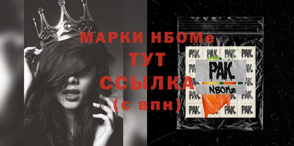 индика Богородицк