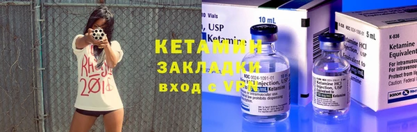 индика Богородицк