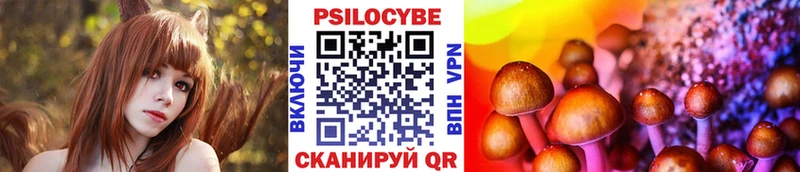 Купить где  Спас-Деменск  Галлюциногенные грибы мицелий 